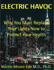 electric havoc book cover